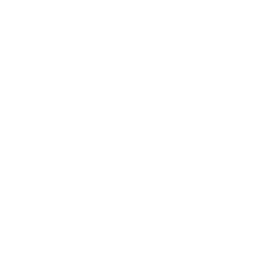 zodiZodiac